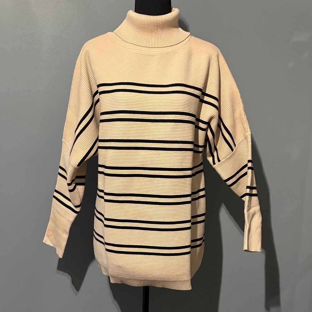 Amazon Cream and Black Striped Turtleneck Sweater